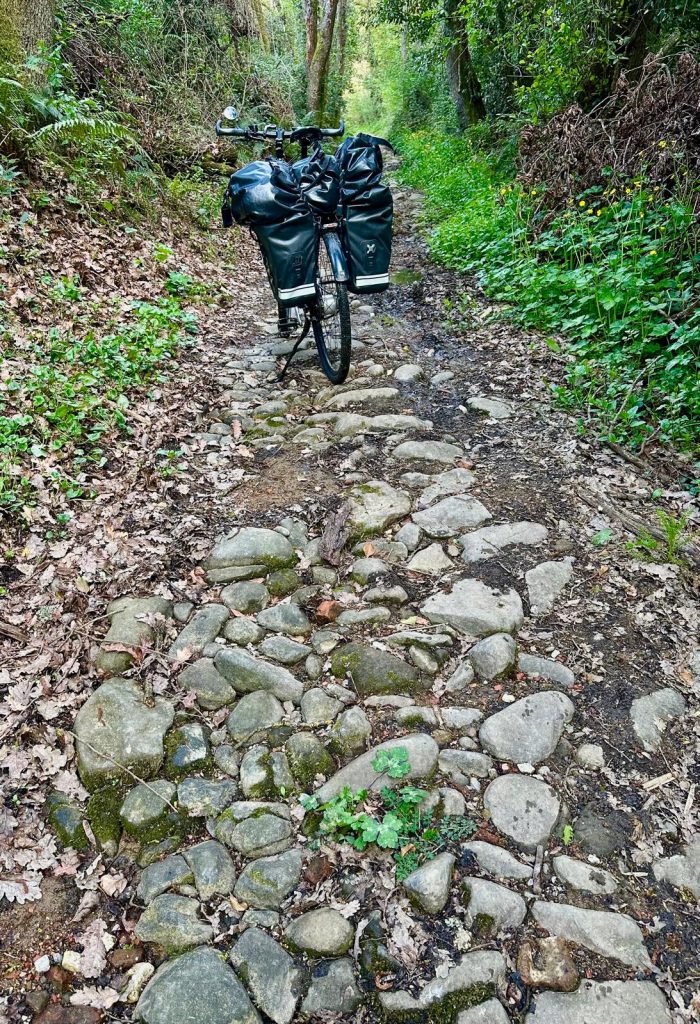 waldweg